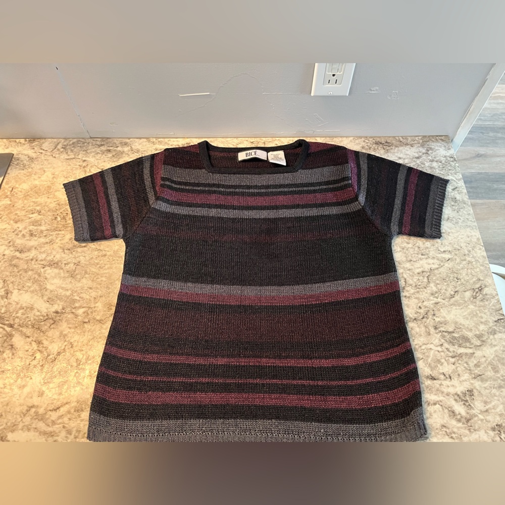 Bice Black and purple Crewneck Top with Bold Stripes